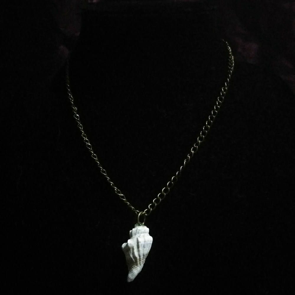 Natural Florida shell necklace in gold tone